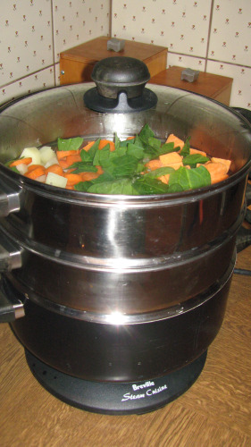 Food steamers recipes