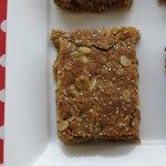 oat and seed lunch box slice