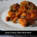 slow cooker paelo beef stew
