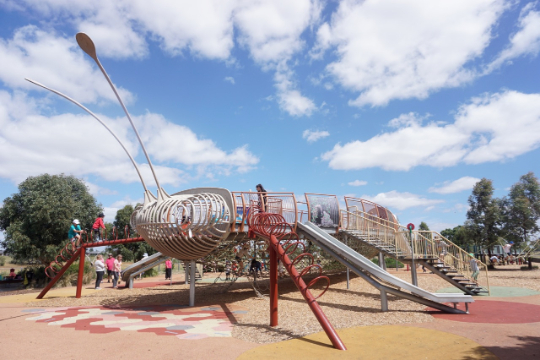 Golden Sun Moth playground Craigieburn - 2
