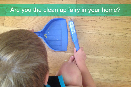 clean up fairy