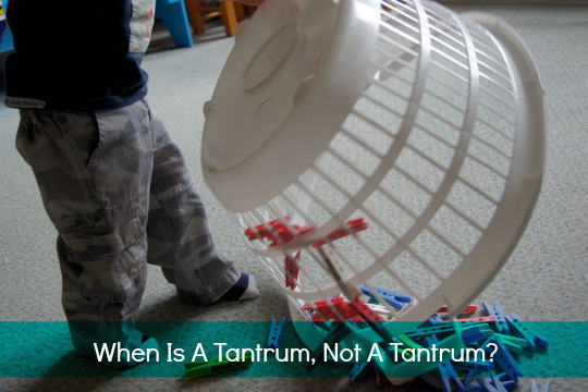 When Is A Tantrum, Not A Tantrum?