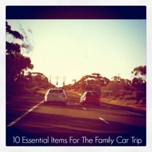 10 Essential Items For The Family Car Trip