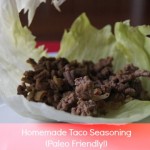 540 homemade taco seasoning paelo