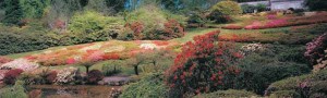National Rhododendron Gardens