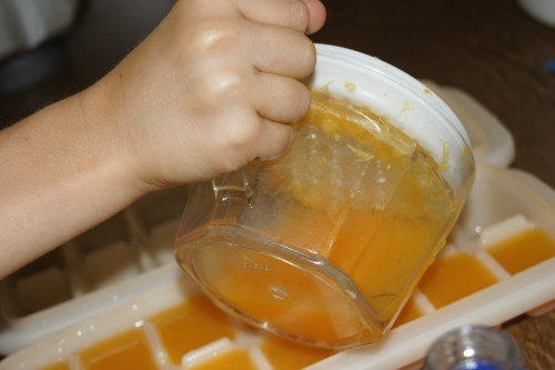 Pouring Into Ice Trays - Fruit Juice Ice Blocks