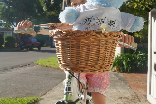 Kid's Wicker Basket For Bike
