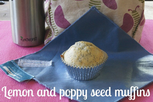 lemon and poppy seed muffins