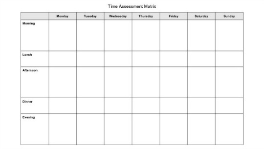 Time Assessment Matrix 540