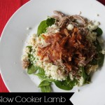 Spicy Slow Cooker Lamb Main