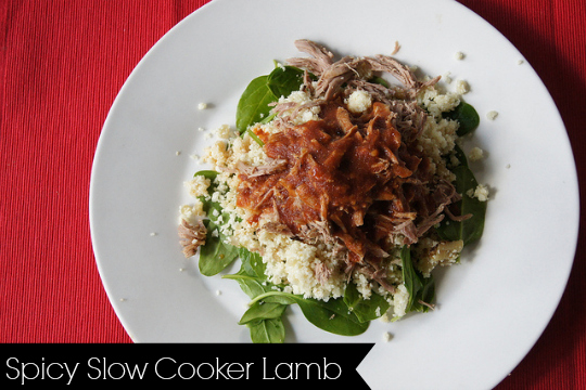 Spicy Slow Cooker Lamb Main