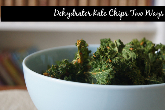 dehydrator kale chips two ways