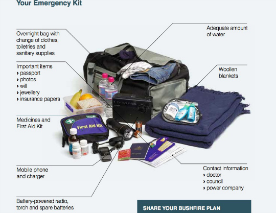 540 your emergency kit.jpg