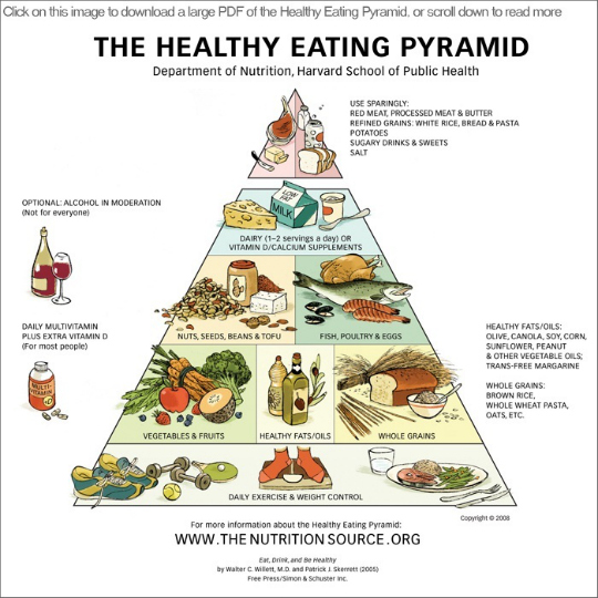 healthy-eating-pyramid-540-link.jpg