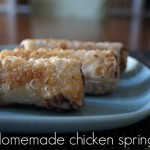 Homemade chicken spring rolls