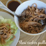 slow cooker pulled pork asian
