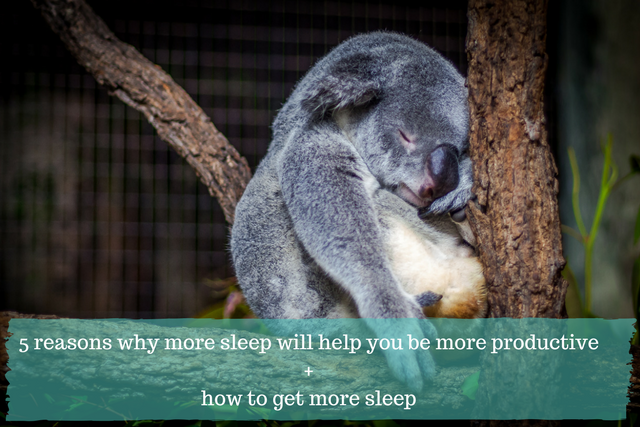5 reasons why more sleep will help you be more productive + how to get ...